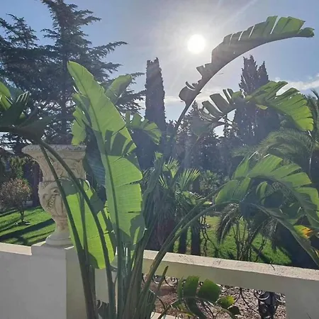 Apartment Le Dramont Saint-Raphael (Var)